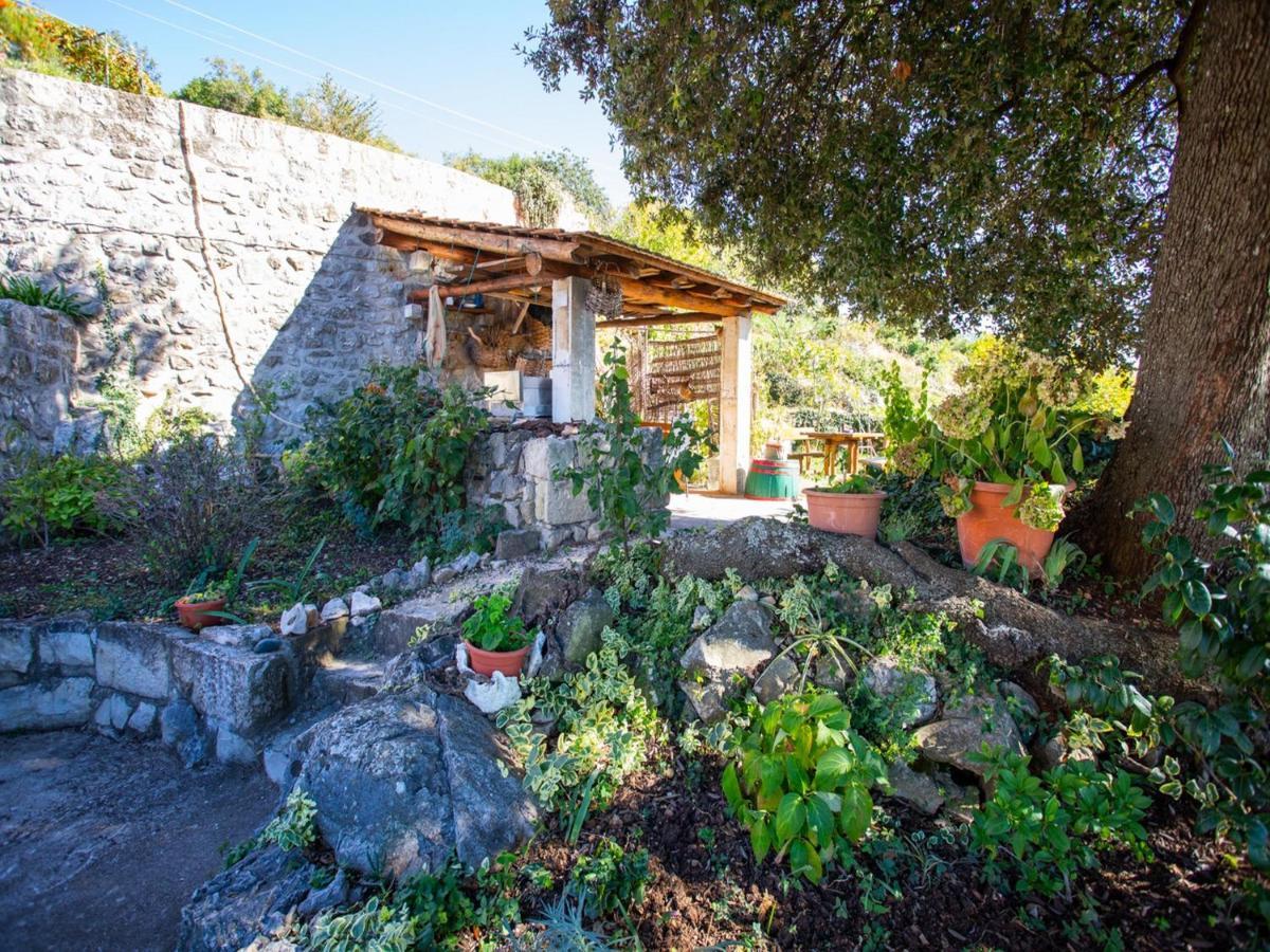 Country House Bakicevo Čilipi Rom bilde