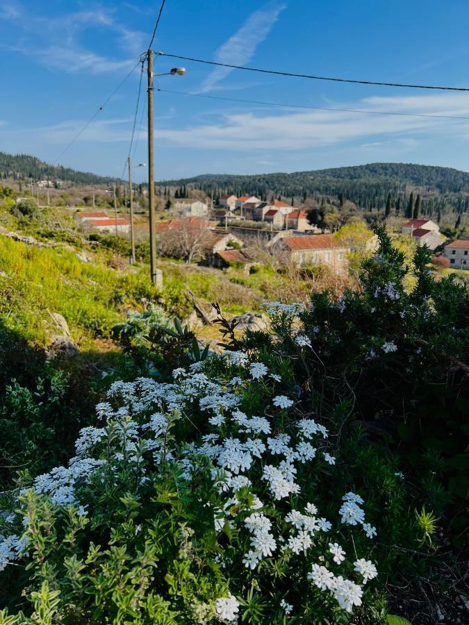 Country House Bakicevo Čilipi Eksteriør bilde