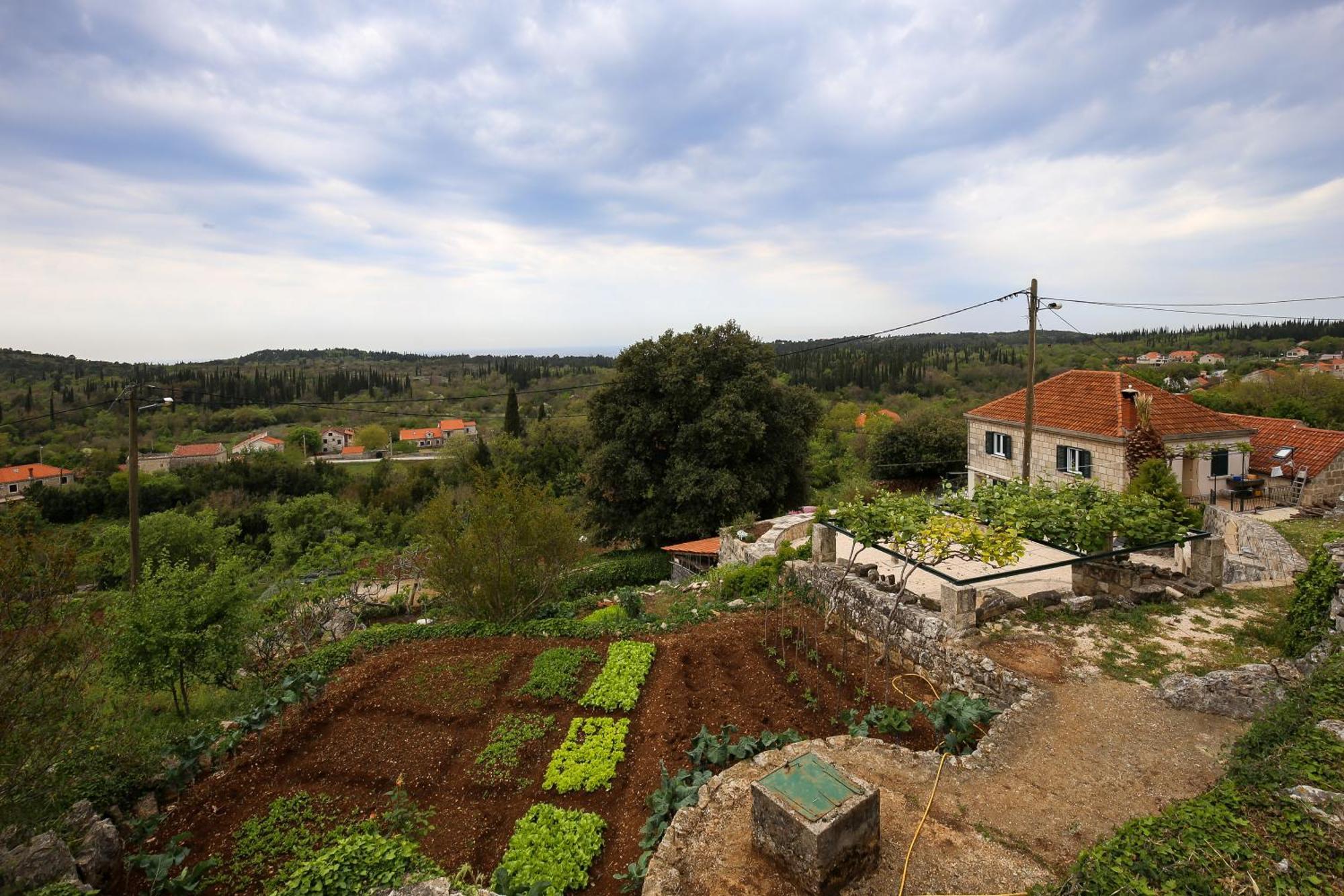 Country House Bakicevo Čilipi Eksteriør bilde