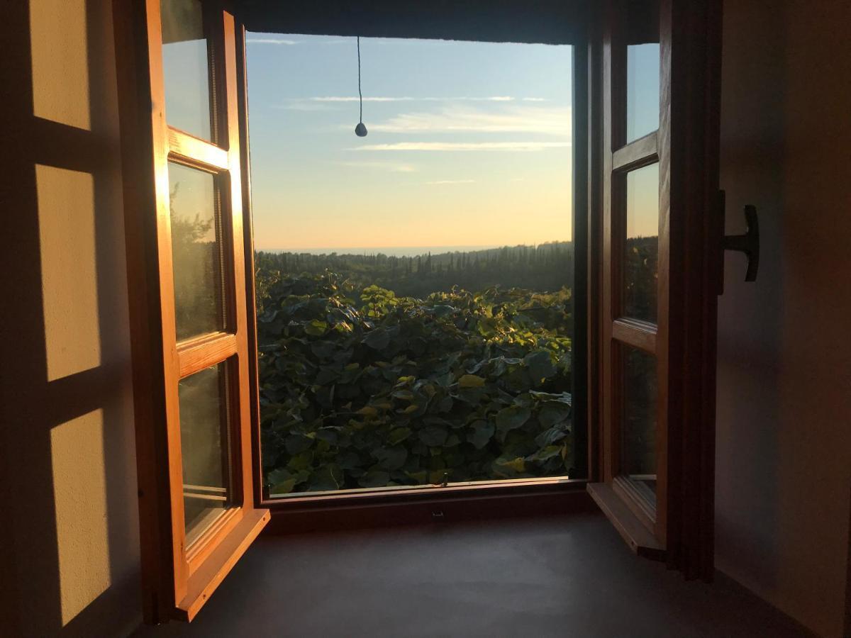 Country House Bakicevo Čilipi Eksteriør bilde